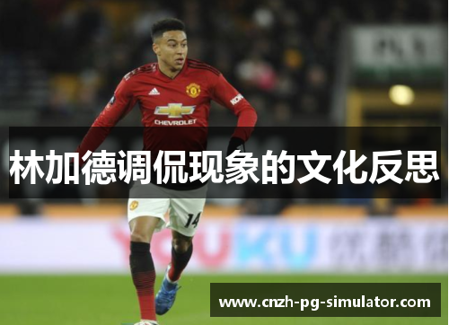 林加德调侃现象的文化反思