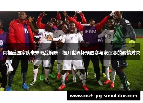 阿根廷国家队未来激战前瞻：揭开世界杯预选赛与友谊赛的激情对决