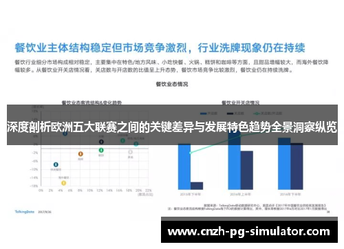 深度剖析欧洲五大联赛之间的关键差异与发展特色趋势全景洞察纵览