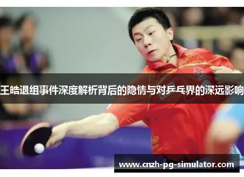 王皓退组事件深度解析背后的隐情与对乒乓界的深远影响
